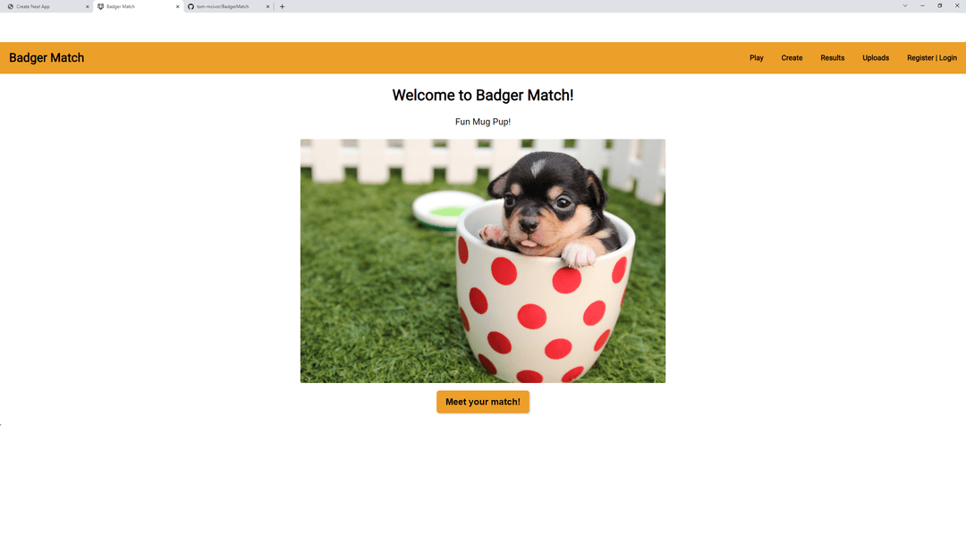BadgerMatch Home